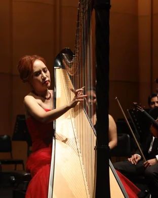 Gwinnett Symphony Orchestra Duluth