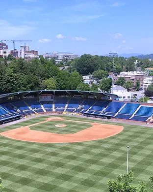 Asheville Tourists Rome