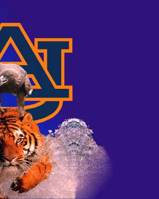 Auburn Tigers Atlanta