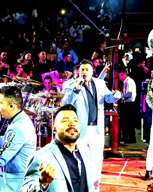 Banda Ms Duluth