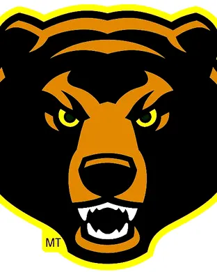 Baylor Bears Atlanta