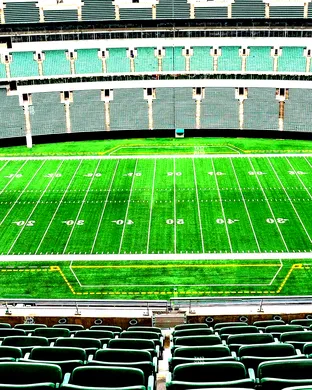 Cincinnati Bengals Atlanta