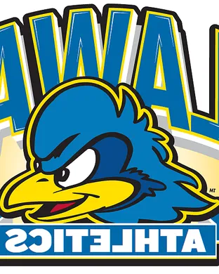 Delaware Blue Hens Kennesaw