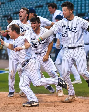 Georgia Tech Yellow Jackets Baseball Atlanta