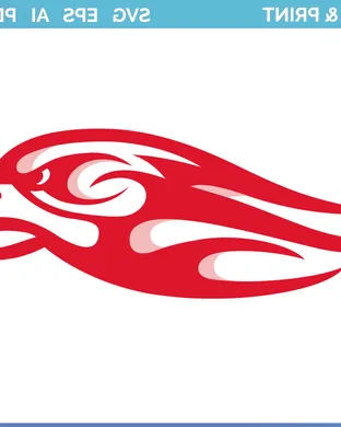 Liberty Flames Kennesaw