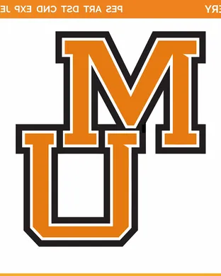 Mercer Bears Atlanta